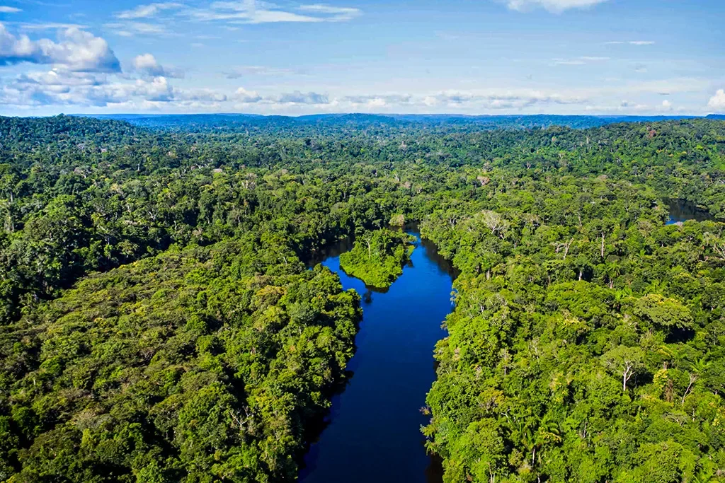 Pantanal de Mato Grosso